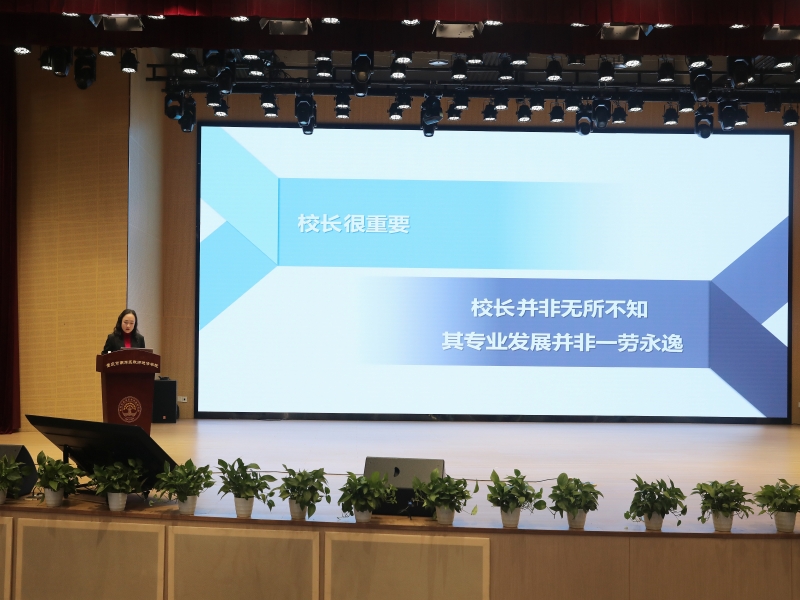 VhXI_1730789384760013544.jpg 3.jpg